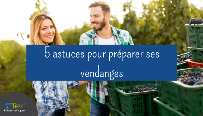 5 astuces pour préparer ses vendanges paie'saisonnier wizifarm mission magnum vendange
