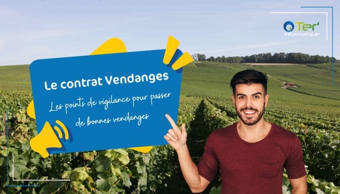 Contrat vendanges tous ce qu'il faut savoir